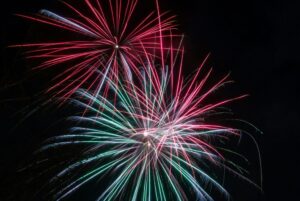 pets and fireworks